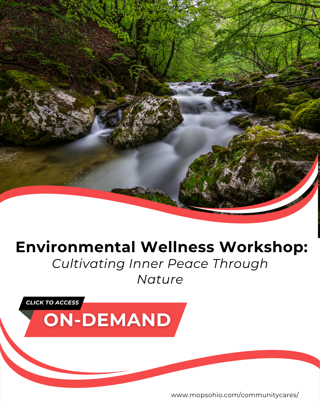 Environmental Wellness Workshop Link