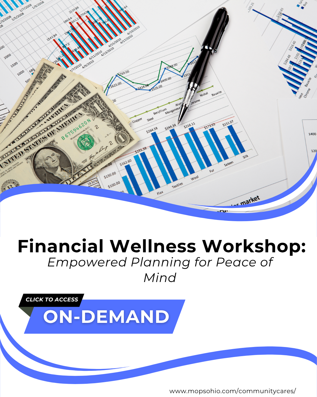 Financial Wellness Workshop Link