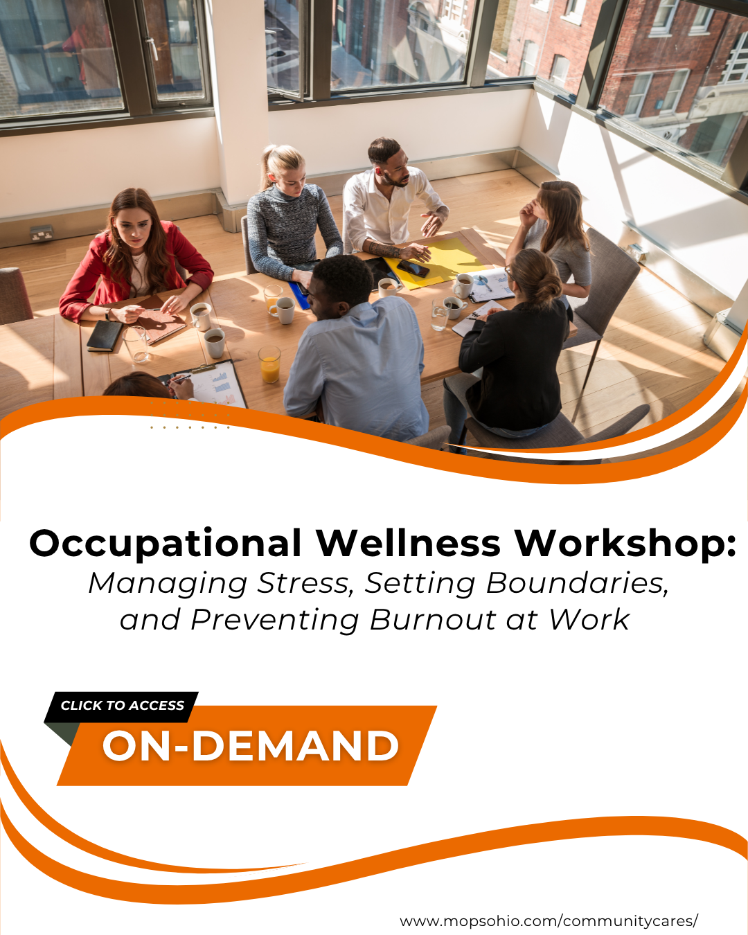 Occupational Wellness Workshop Link
